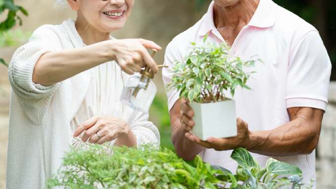 もう耐えられない…社宅で暮らし〈資産5,000万円超〉を築いた60代夫婦、定年後に念願のマイホーム購入→8年後に突きつけられた現実