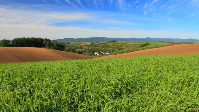 農地や山林はどのように相続税評価をするのか？