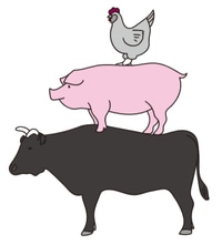 ▲畜産がさかんな鹿児島県