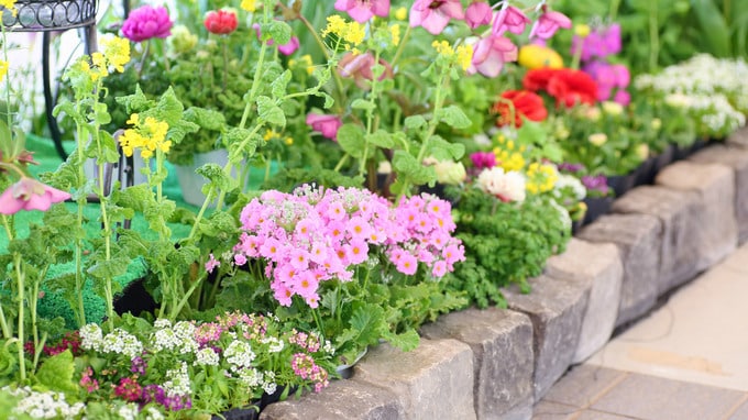 賃貸物件を「犯罪に利用させない」管理の秘訣とは？