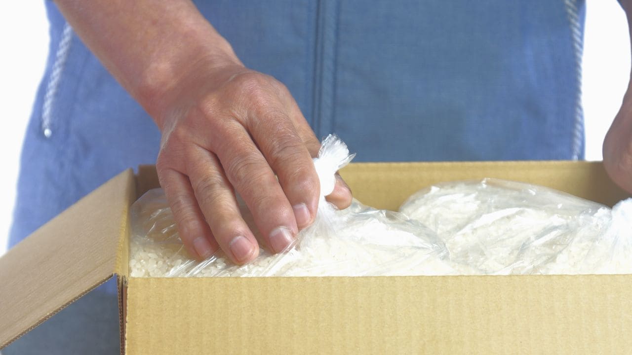 いい思い出ですが…手取り月20万円・新潟から上京した社会人1年目23歳男性、実家からの「米の仕送り」が生命線。大学最後の「卒業旅行」を悔やむ理由