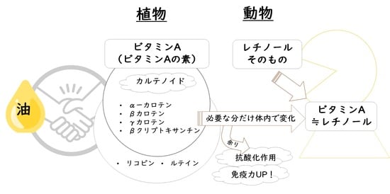 植物由来のプロビタミンAの変化