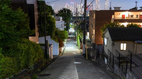 高級住宅街「田園調布」の“住民協定”に潜む地雷…父が建てた大邸宅の相続で「自慢の仲良し3兄弟」の絆が崩れた理由