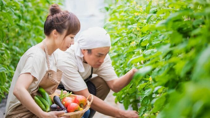 慣れない土地で“仕事と住居”同時に探すのは不安…「地方移住」のハードルを下げる「住み込み」という選択肢