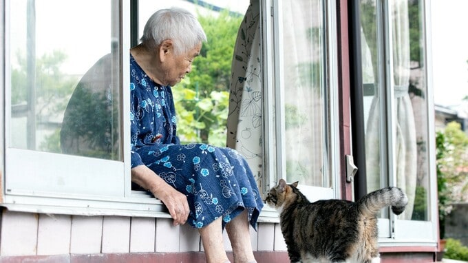 70代母の資産総額、1億円超だが…50代息子「相続対策のため、母との同居を開始する」「ごめんだわ」妻の即レス【争続事例解説】