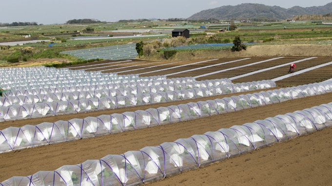 農地の相続で活用したい「納税猶予」の特例とは？