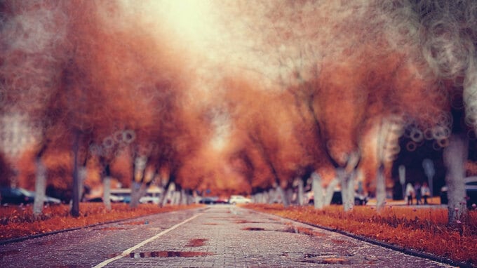 白内障手術後の「矯正方法」に関するQ&amp;A