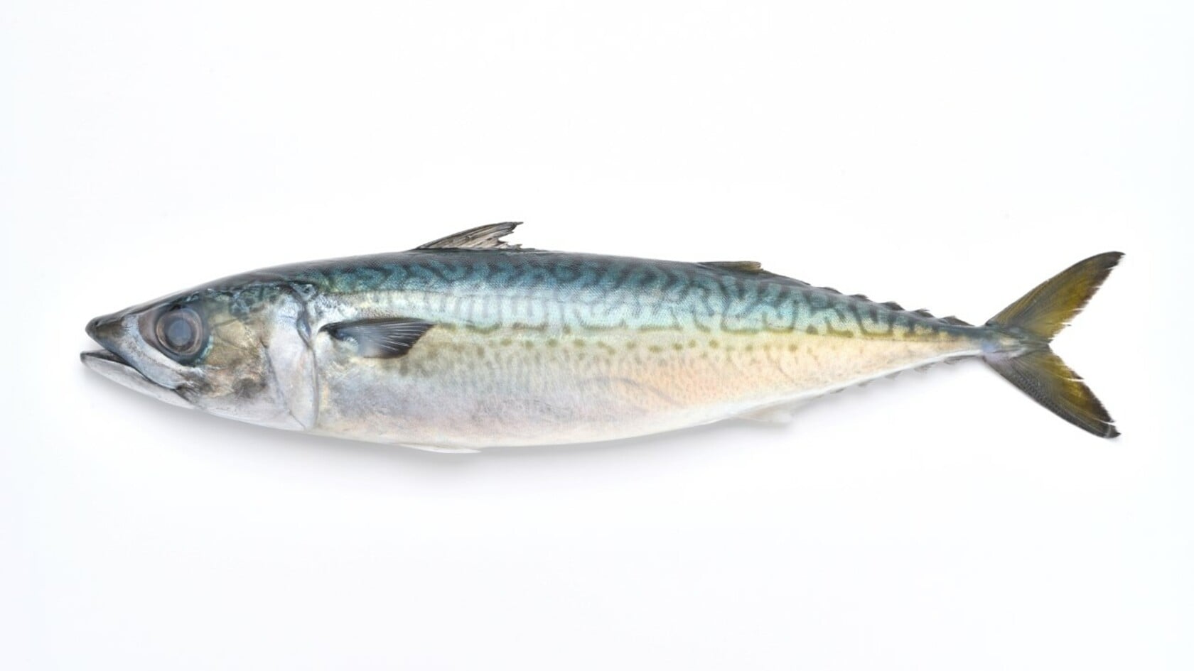 母乳の出を助けるために何を食べればよいでしょうか？