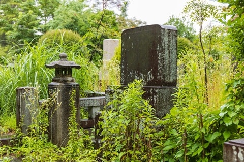 （※写真はイメージです／PIXTA）