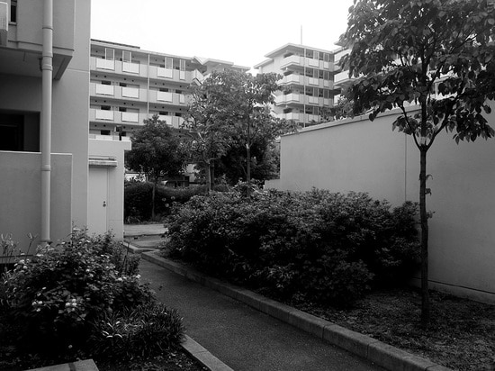 （撮影年月：2017年7月 撮影者：朴承賢）