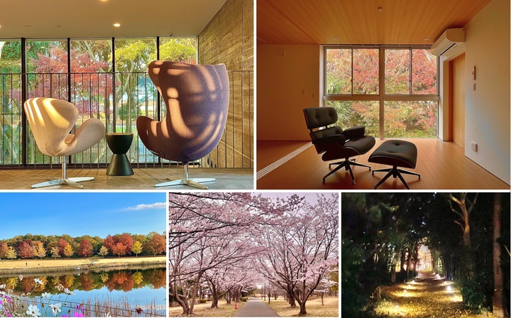 写真上：施設内にいても季節を感じられる 写真下：日々、高橋さんが散歩を楽しんでいる施設周辺。季節の移ろいを感じられる環境