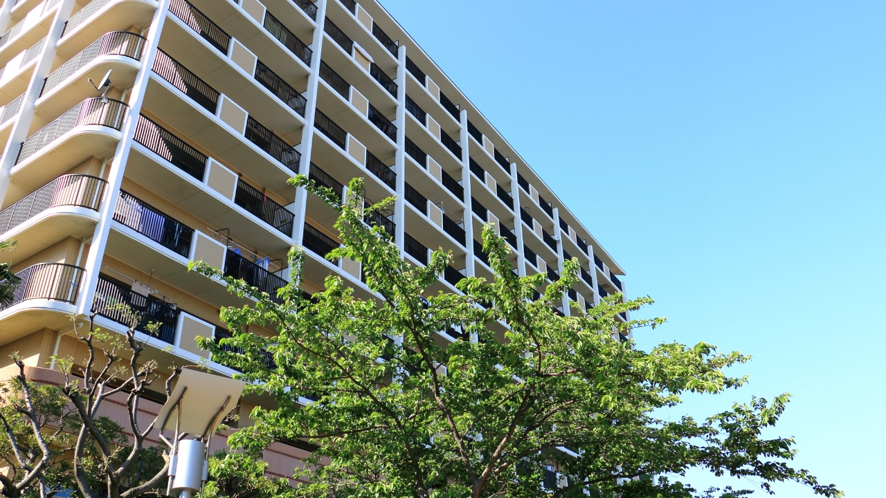 マンションの賃貸管理会社と建物管理会社の役割とは?