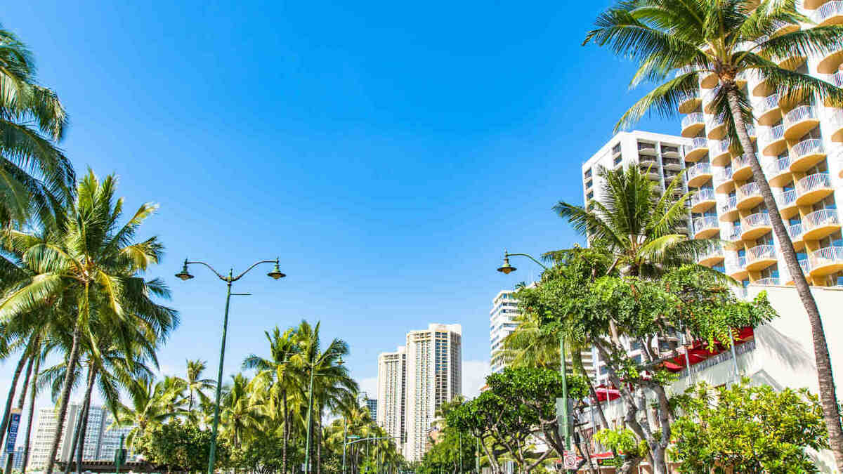 始まりは19世紀から 日本人が ハワイ不動産 を好む背景 幻冬舎ゴールドオンライン