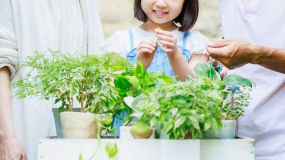 こんな老後を望んだわけじゃ…〈年金月18万円・貯金1,300万円〉の70代夫婦、孫の頻繁な来訪に揺らぐ生活