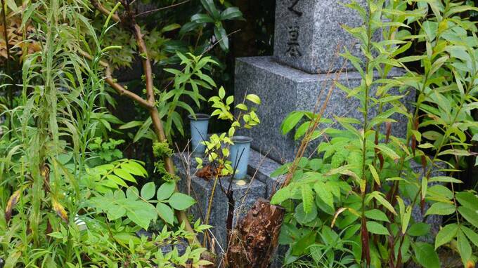 悩ましい「墓じまい」の実情…「別に、亡き両親が枕元に立つわけじゃなし」独身50代会社員女性が語った「葛藤」と「割り切り」