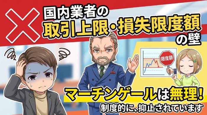 国内業者の取引上限・損失限度額の壁