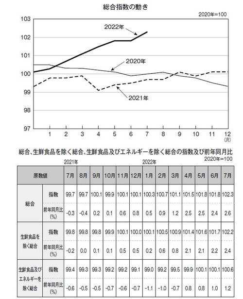 出所：「2020年基準 消費者物価指数」（総務省）