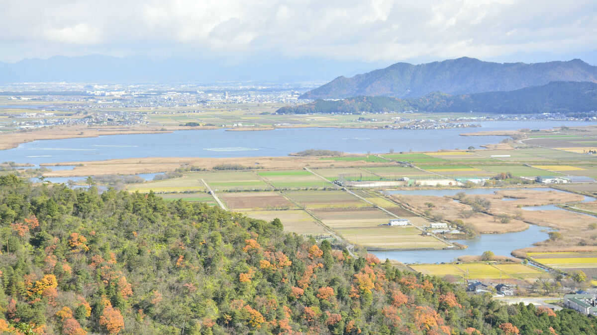 日当たりが悪く、地盤の緩い農地・・・「地目変更」は可能か？ | ゴールドオンライン