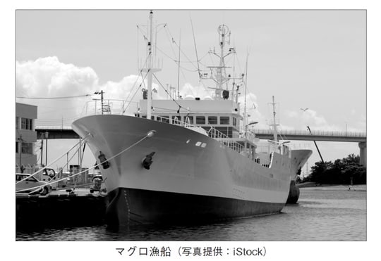 （写真提供：iStock） 出典：『借金を返すためにマグロ漁船に乗っていました』（彩図社）より抜粋