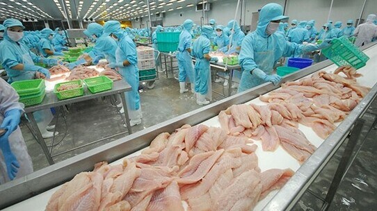 「中国が狙うベトナムの水産物…」なぜ?同国に「18億ドル以上」の"莫大な利益”をもたらしたワケ