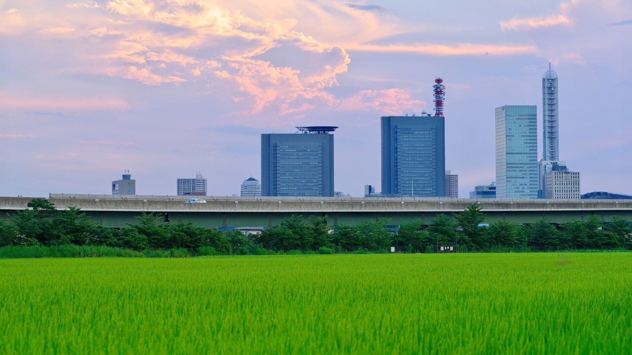 現預金の少ない地主が「相続による資産の減少」を抑制できた例