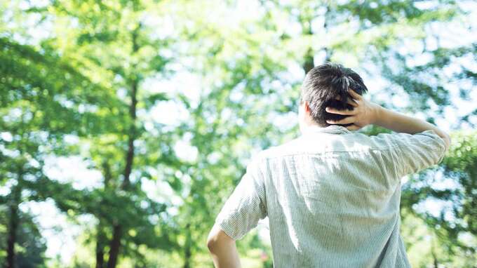 完全に詰んだ…亡き父が遺した山林の共有部分を売却したい→調べてみて判明した〈驚愕の真実〉とは？【弁護士が解説】