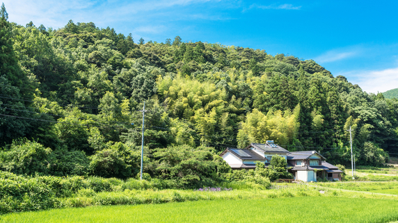 国土の約7割が中山間地域の日本…「土壌保全は雑草が担っている」という真実