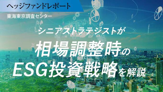 シニアストラテジストが「相場調整時のESG投資戦略」を解説