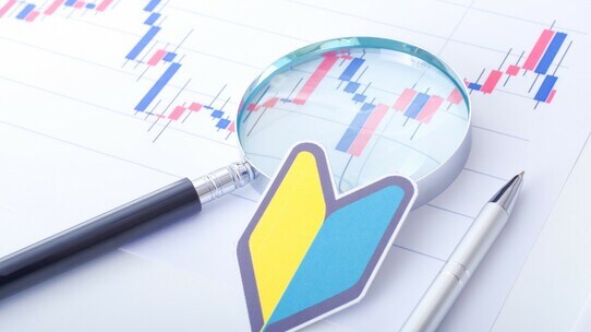 「安く買って、高く売る」が株式投資の理想だが…初心者でも実現できる、具体的な方法【経済評論家が解説】