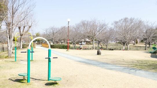 年収1,200万円・堅実に生きてきた54歳管理職。カップラーメンに湯を注ぎながら、ひとり後悔に暮れる夜…地獄の始まりは「近所の公園」から