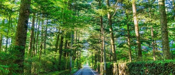 資産価値の高い軽井沢の別荘…次世代に受け継ぐのも有力な選択肢となる
