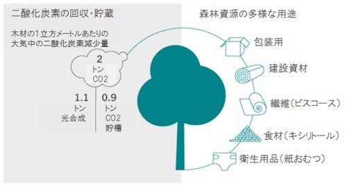 ［図表2］強力な根　技術革新は森林資源をより多目的に 出所：ピクテアセットマネジメント
