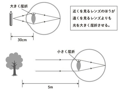 ［図表2］「近く」用と「遠く」用の単焦点レンズそれぞれでの光の屈折の違い