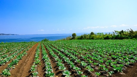 （※画像はイメージです／PIXTA）