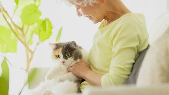 「私、猫飼いたい！」19歳長女の願いで〈連帯債務の35年ローン〉を組んだ年収300万円・44歳シングルマザー。数年後、家を出る際の〈まさかの一言〉に絶句【CFPが警告】
