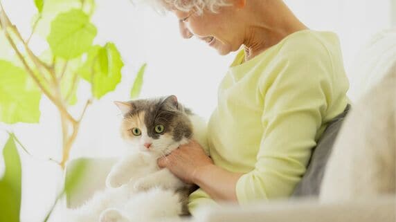 「私、猫飼いたい！」19歳長女の願いで〈連帯債務の35年ローン〉を組んだ年収300万円・44歳シングルマザー。数年後、家を出る際の〈まさかの一言〉に絶句【CFPが警告】