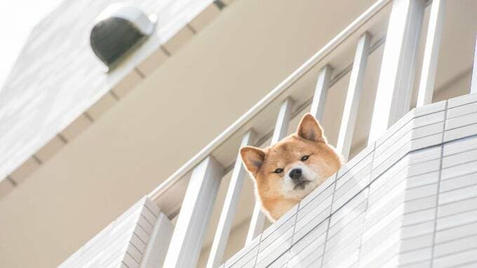 離婚が決定した夫婦「これまで暮らした家」の壮絶な後始末