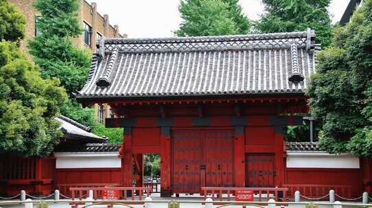 中3の修学旅行で「赤門」を訪問…高校の先輩が東大合格で明確な「目標」ができた結果