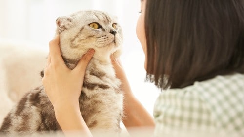 今の日本社会を表す、典型的な高齢家族で、しかも、家族全体がおひとりさまだという。（※写真はイメージです／PIXTA）