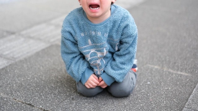 （※写真はイメージです／PIXTA）