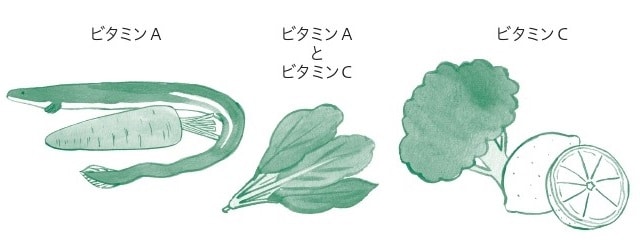 出所：平松類著『自分でできる！人生が変わる緑内障の新常識』（ライフサイエンス出版）