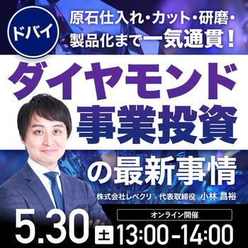 ダイヤモンド事業投資