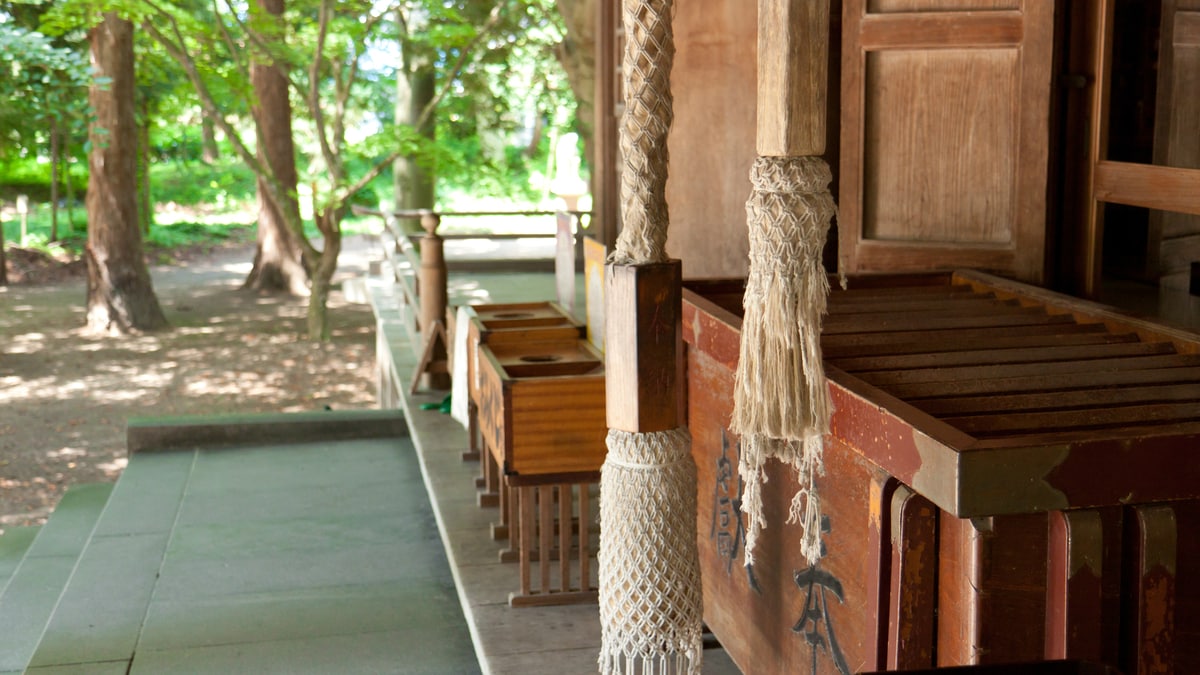 神社仏閣が「ペット供養」で得た収益は課税対象か？ | ゴールド