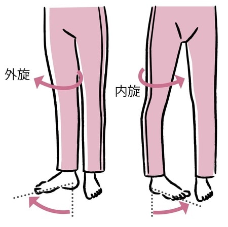 ［図表2］「外旋」と「内旋」