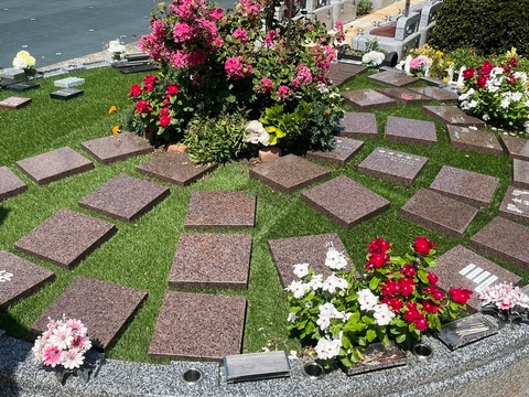 （※写真はイメージです／PIXTA）