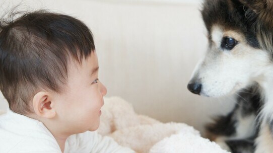 人間の赤ちゃん、生まれてすぐに歩けないのはなぜ?…従来の学説を覆す「EGG説」とは【整形外科医が解説】