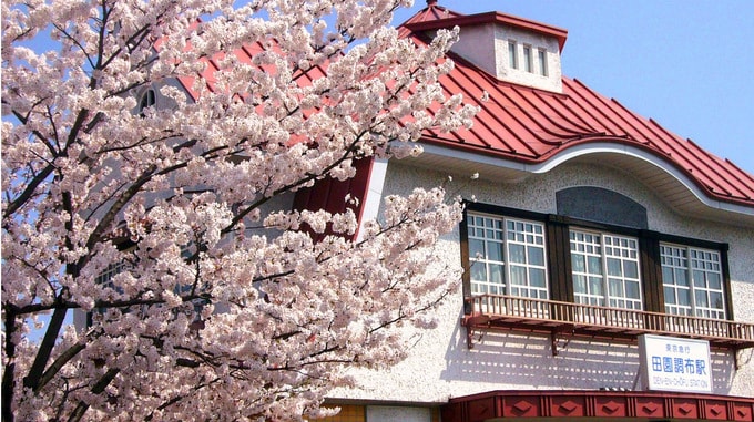 なぜ「超高級住宅地」には訳あり物件が生まれないのか？