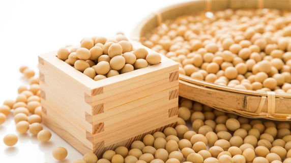 大豆が年初来安値　米産地好天で供給増観測 大豆で作られるのは・・・
