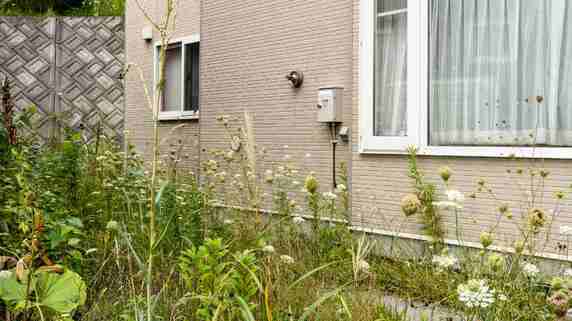 年金月19万円・退職金1,500万円の68歳夫婦が『地方の庭付き一軒家』へ転居…半年後、訪ねた娘が目にした〈信じがたい光景〉