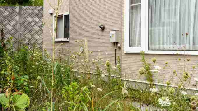 年金月19万円・退職金1,500万円の68歳夫婦が『地方の庭付き一軒家』へ転居…半年後、訪ねた娘が目にした〈信じがたい光景〉